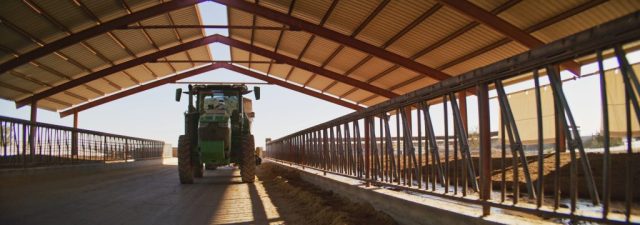 Green tractor driving through a covered feeding barn with metal stalls at Shamrock Farms dairy operation in Arizona, filmed during branded documentary production by NewLeaf Production Group