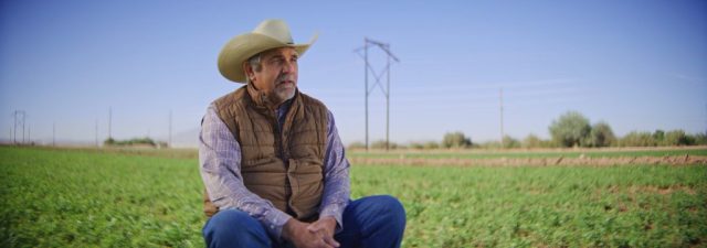 Rancher in cowboy hat sitting in a green field during an on-camera interview at Shamrock Farms in Arizona, filmed during branded documentary production by NewLeaf Production Group