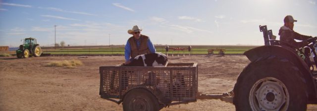 Two farm workers riding a green tractor pulling a trailer through open fields at Shamrock Farms in Arizona, captured during branded documentary production by NewLeaf Production Group
