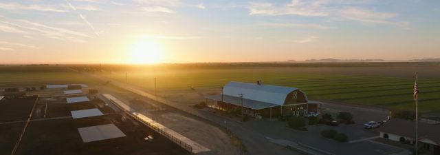 Aerial view of the iconic red barn and farm buildings at Shamrock Farms in Stanfield Arizona during sunrise with green fields in the background, captured during branded documentary production by NewLeaf Production Group